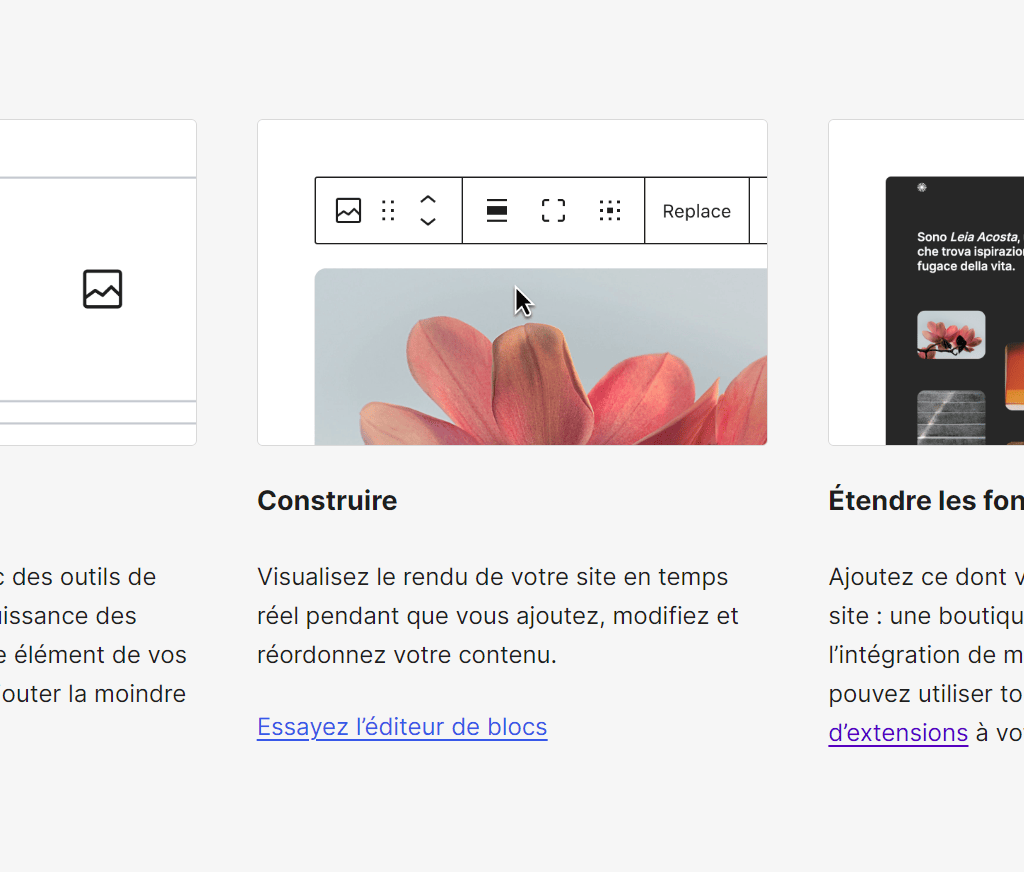 Capture d'écran du site de WordPress.org