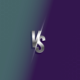 VS